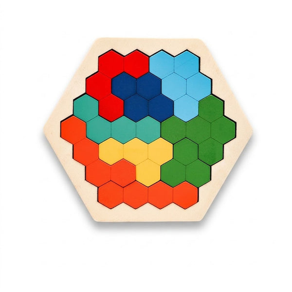 Hexagonal Brain Puzzle Toy